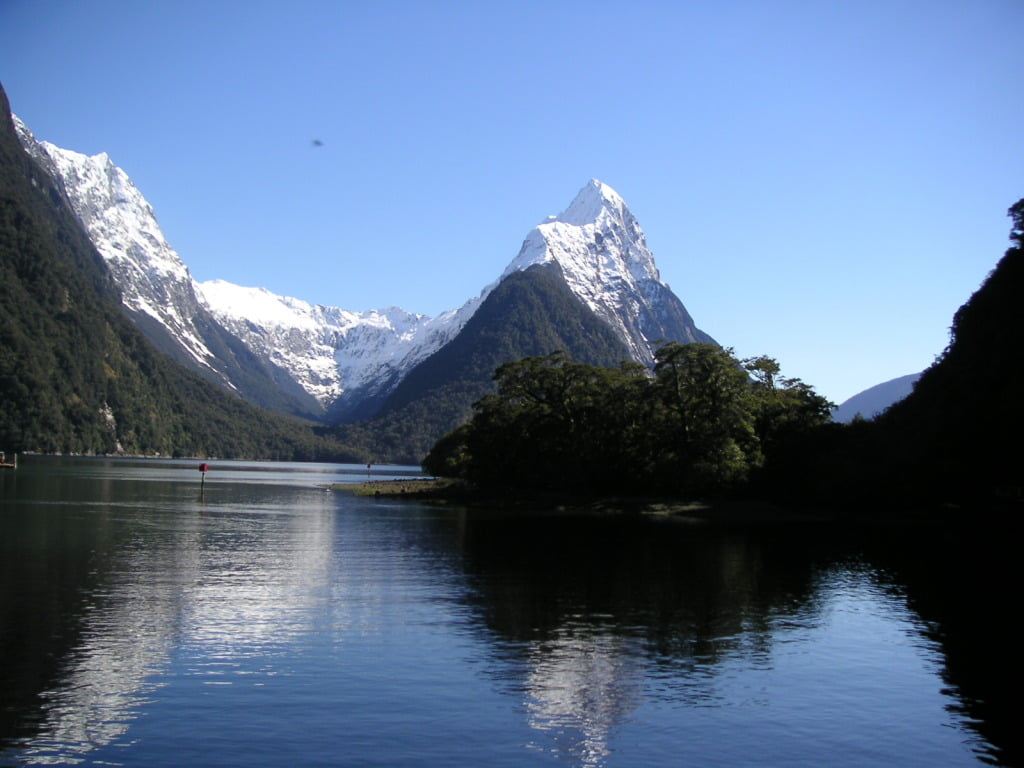 What is there to do in New Zealand